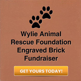 Wylie Animal Rescue Foundation Engraved Brick Fundraiser