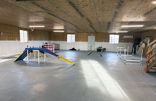 Indoor Enrichment Interior