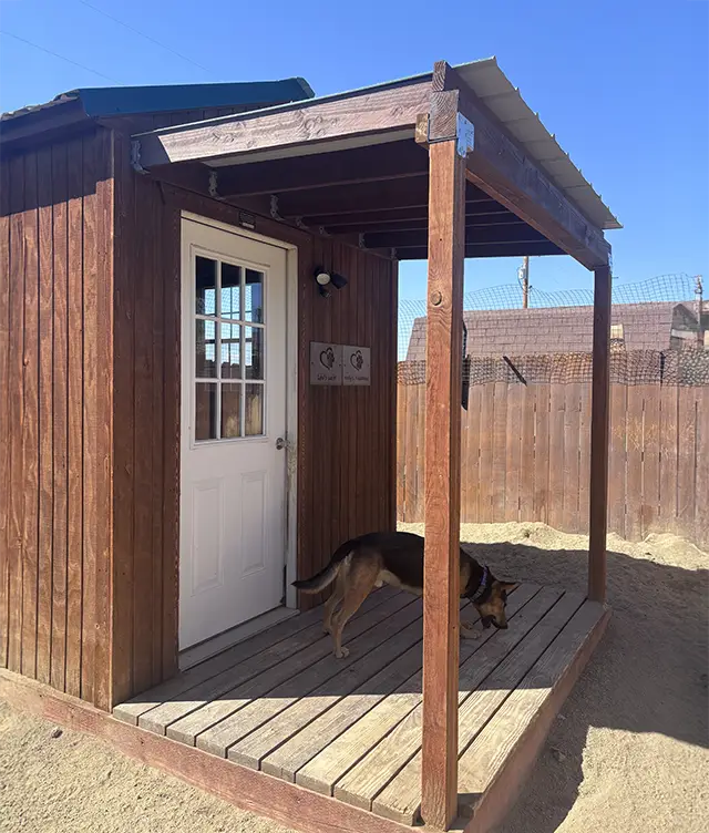 Cabin Outside