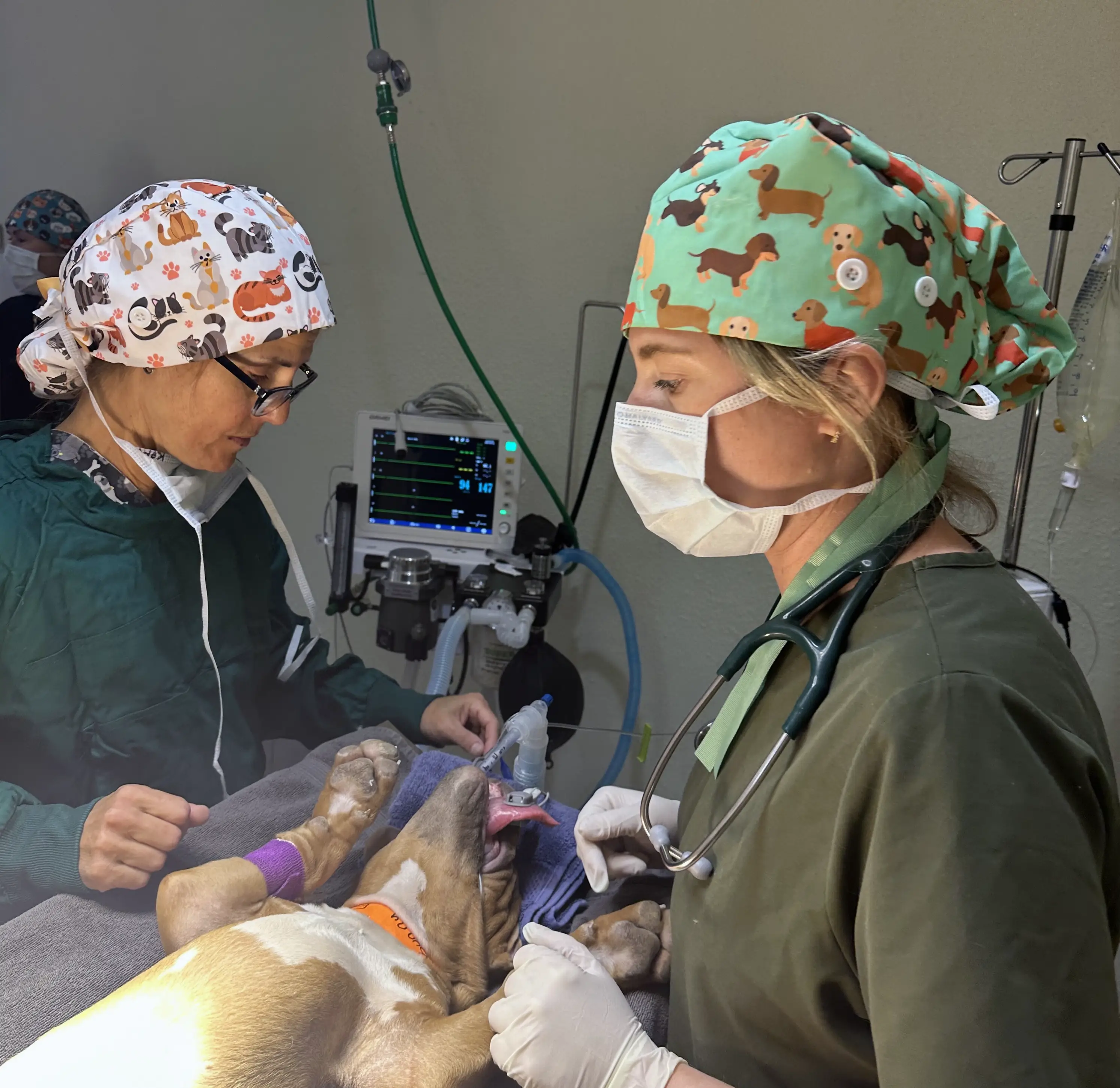 Doctor and Assistant at Work